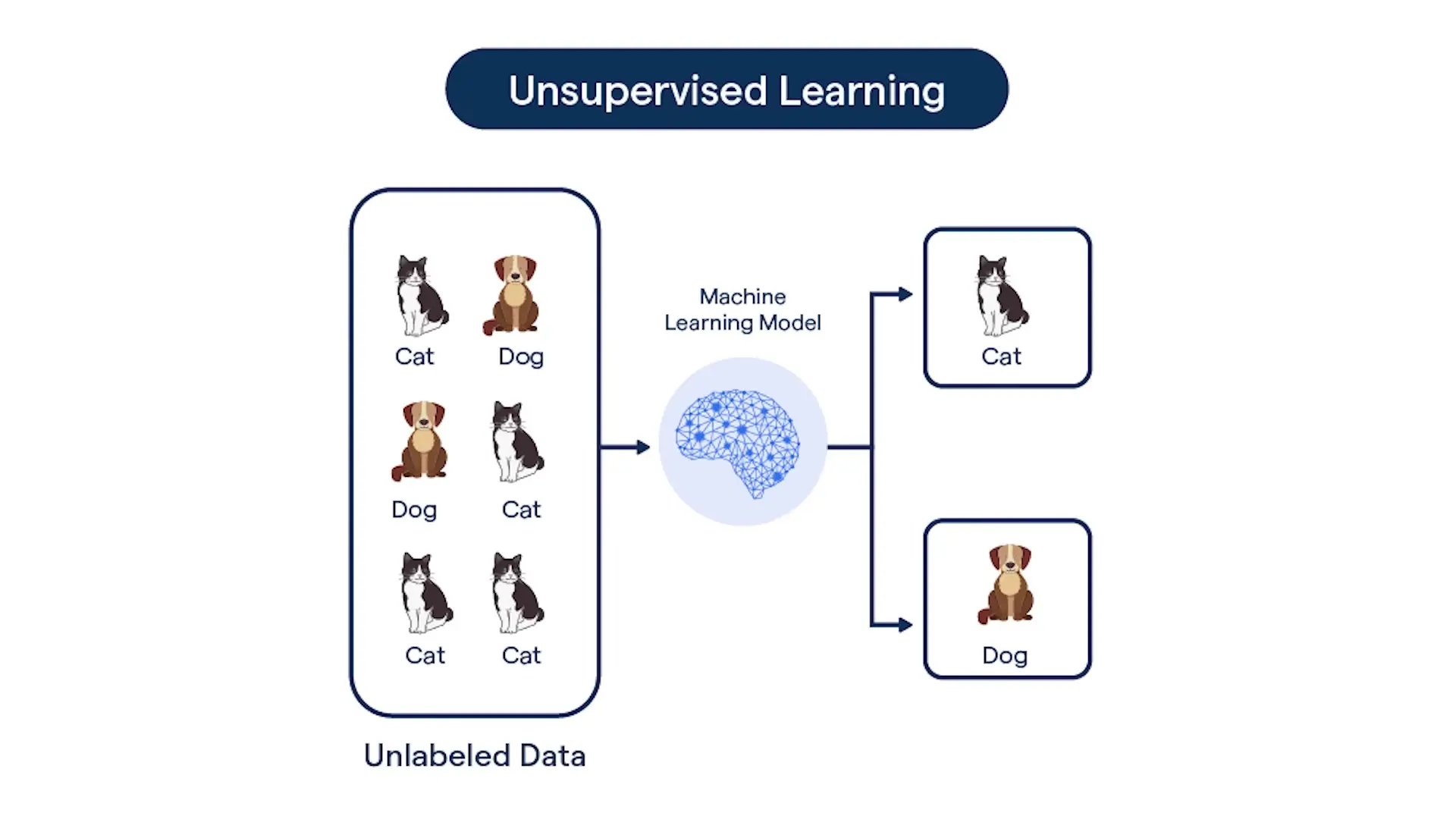 Unsupervised learning allows algorithms to discover patterns and group data without predefined categories, similar to asking someone to organize items without prior knowledge of classification systems.