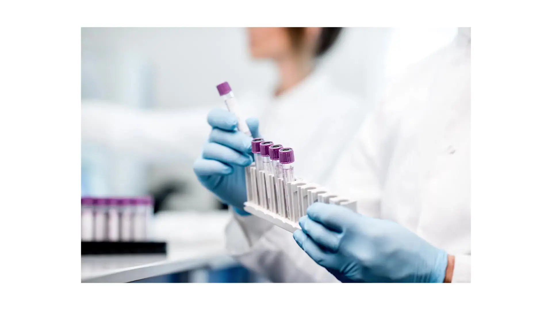 Scientists and leaders can communicate their needs in natural language, breaking down technical barriers