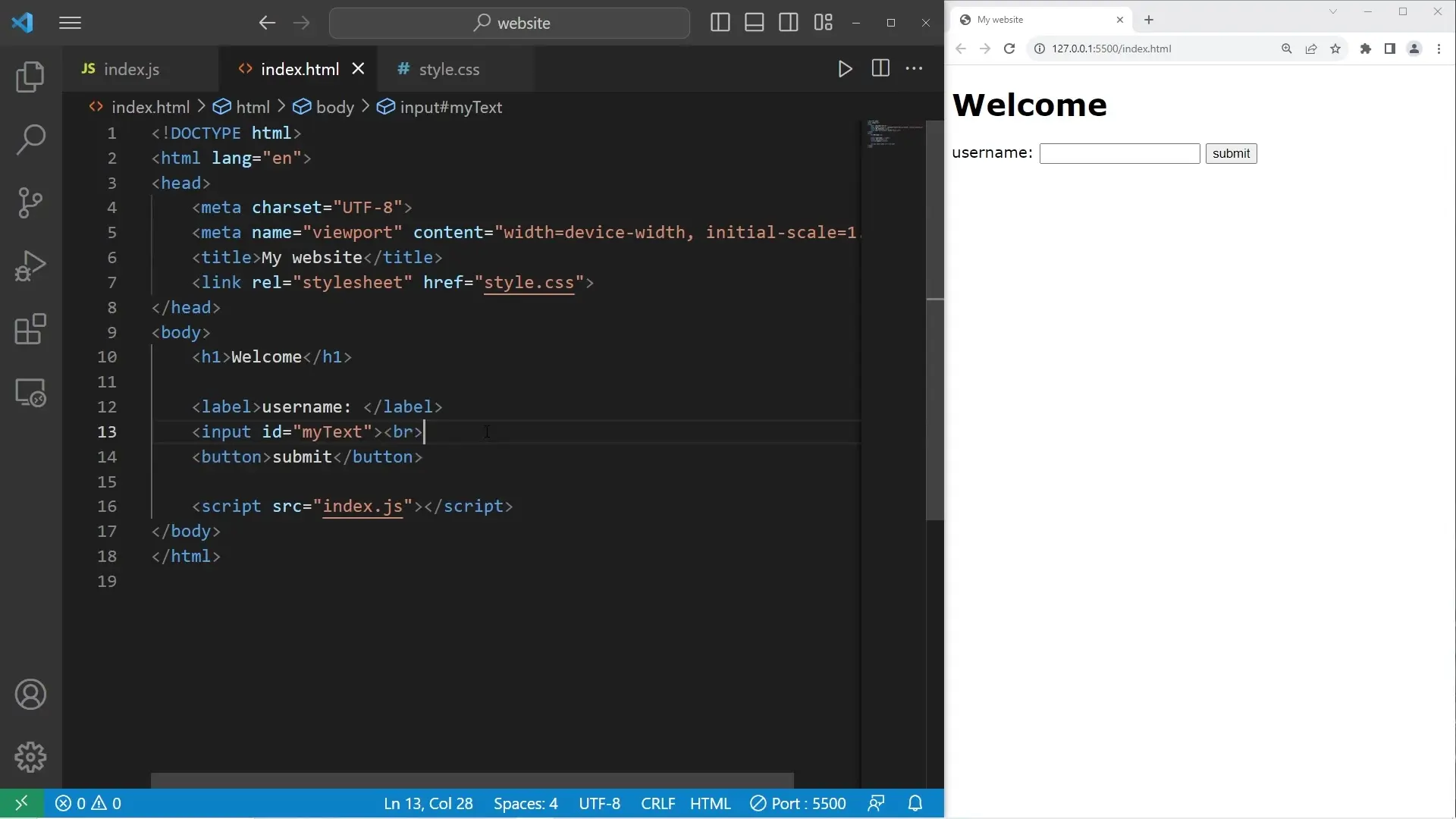 HTML form with text input field and submit button for collecting user input