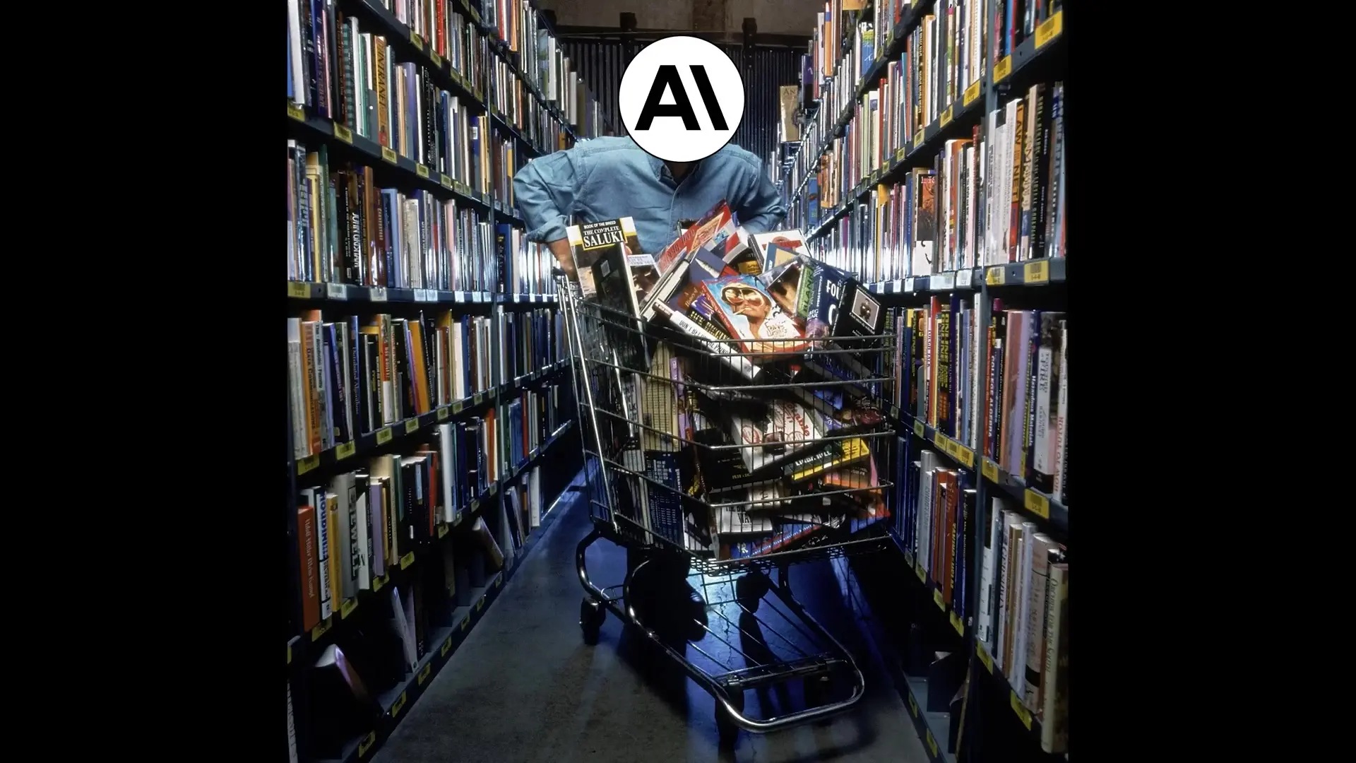 AI companies have gone to extraordinary lengths to acquire training data, including purchasing and digitizing millions of physical books