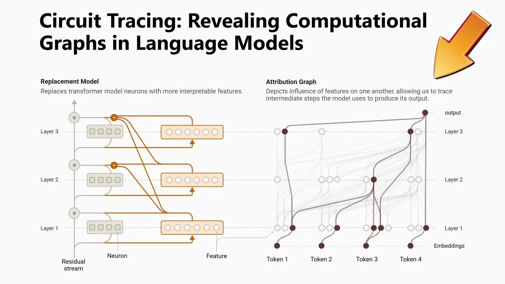Circuit tracing visualization showing how attribution graphs reveal computational pathways in language models, enabling deeper interpretability of AI decision processes