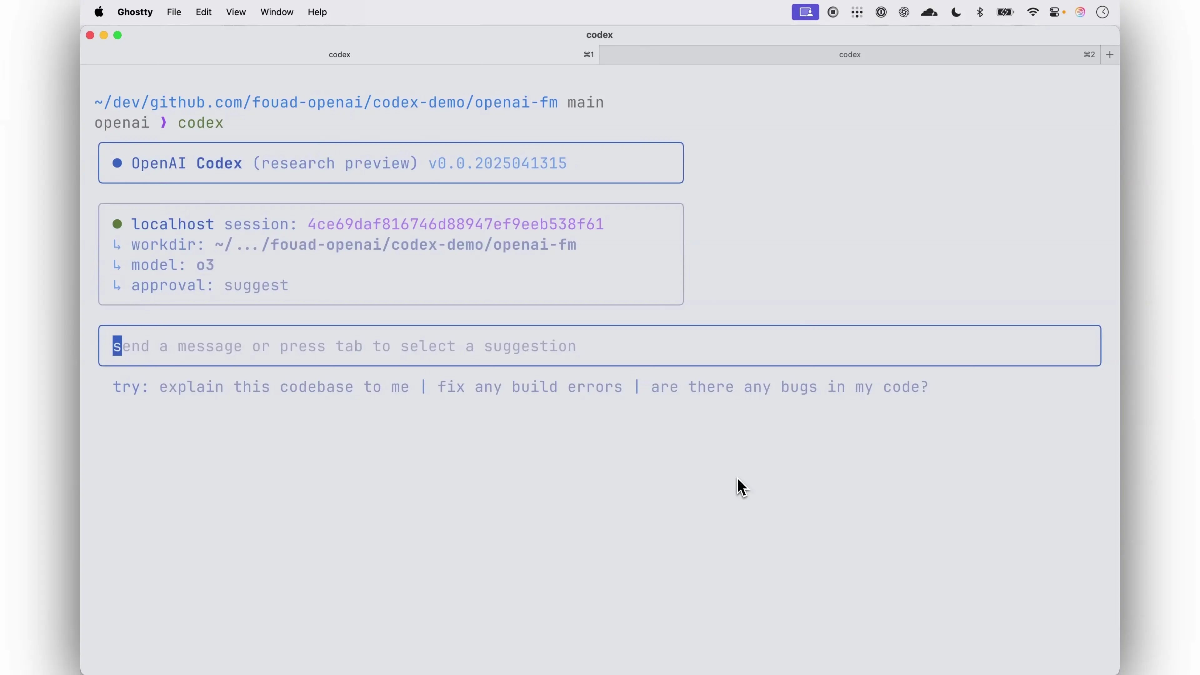 OpenAI Codex CLI setup interface showing model selection and initialization process
