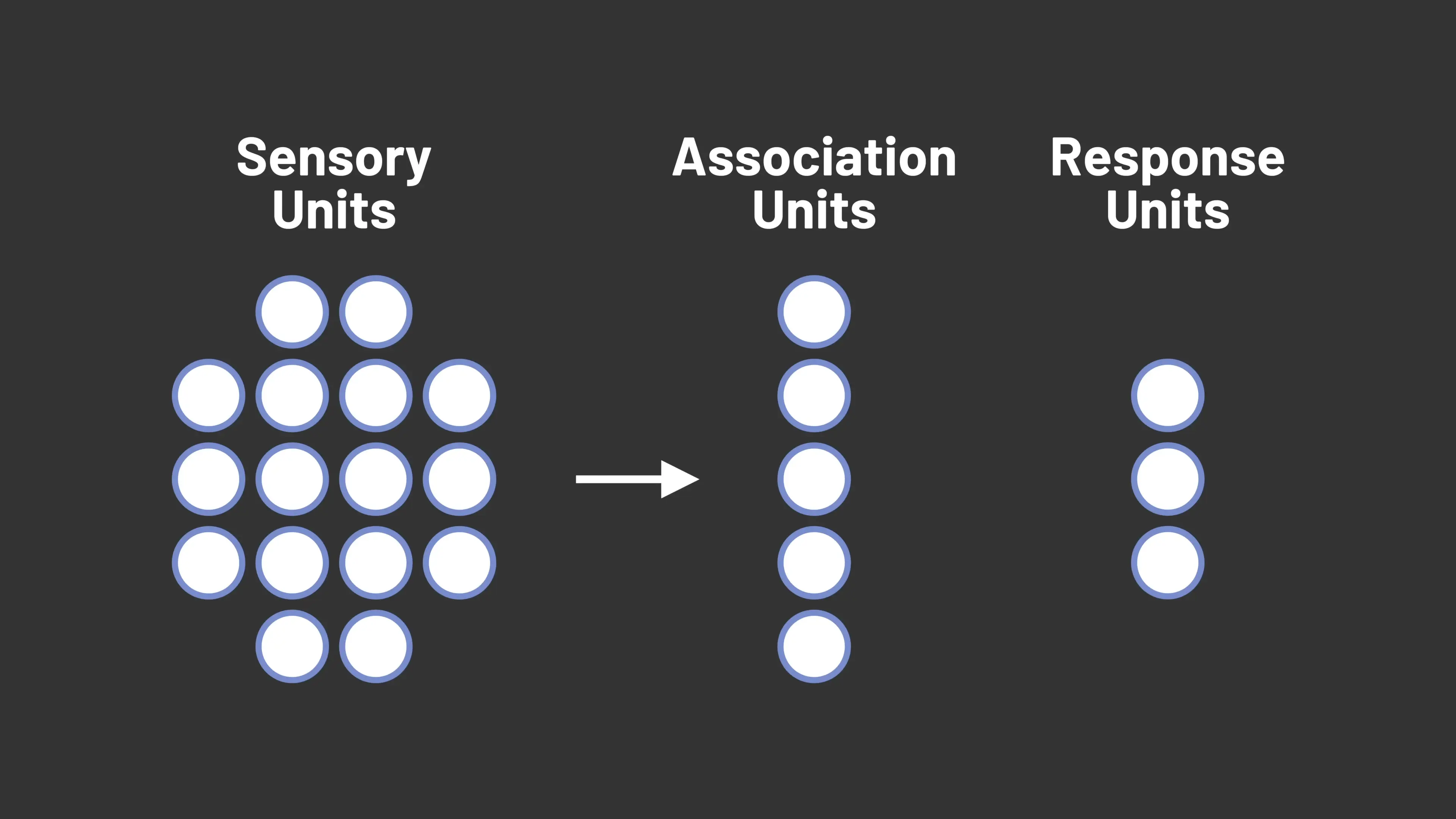 Three-layer architecture of early perceptrons showing sensory units (input layer), association units (hidden layer), and response units (output layer) - the fundamental building blocks of neural network design