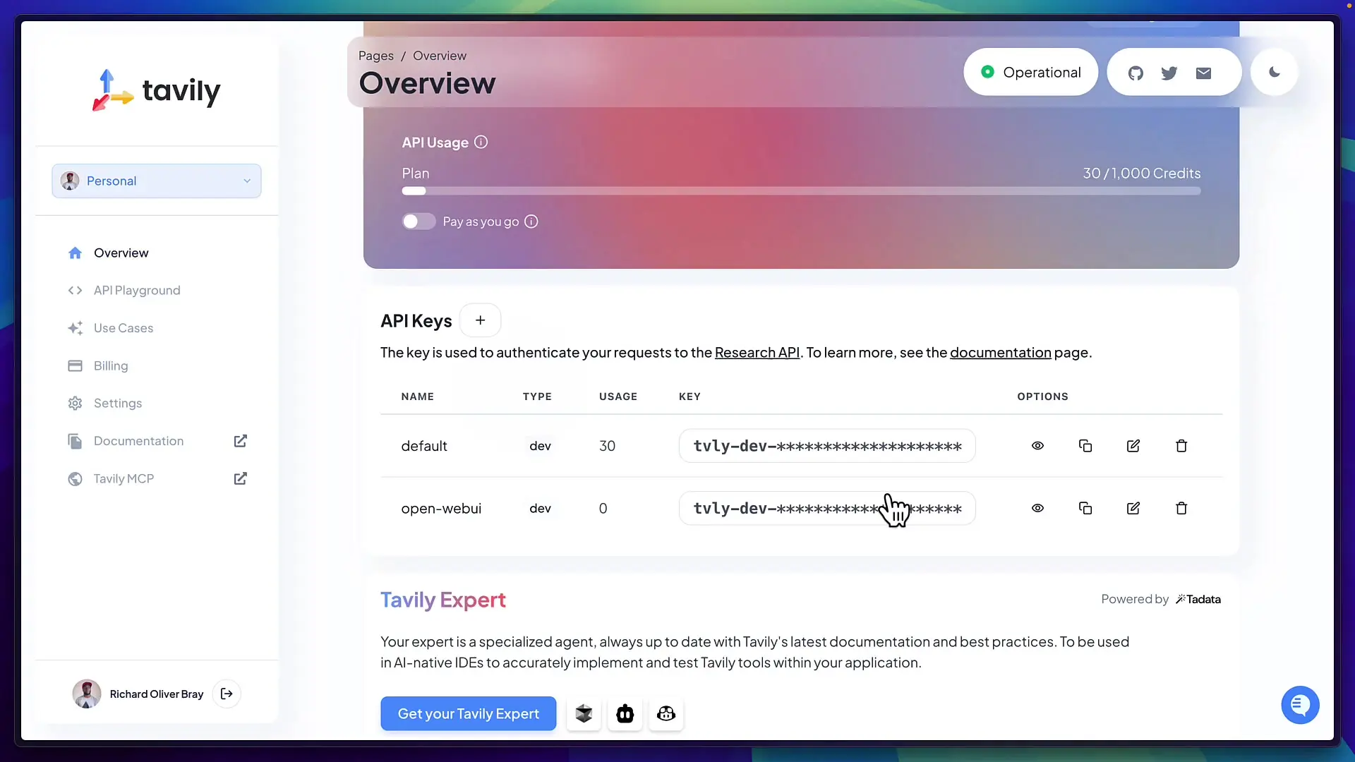 The Tavily API dashboard showing usage metrics and available credits - one of several services you'll need to configure when setting up Suna as your manus alternative