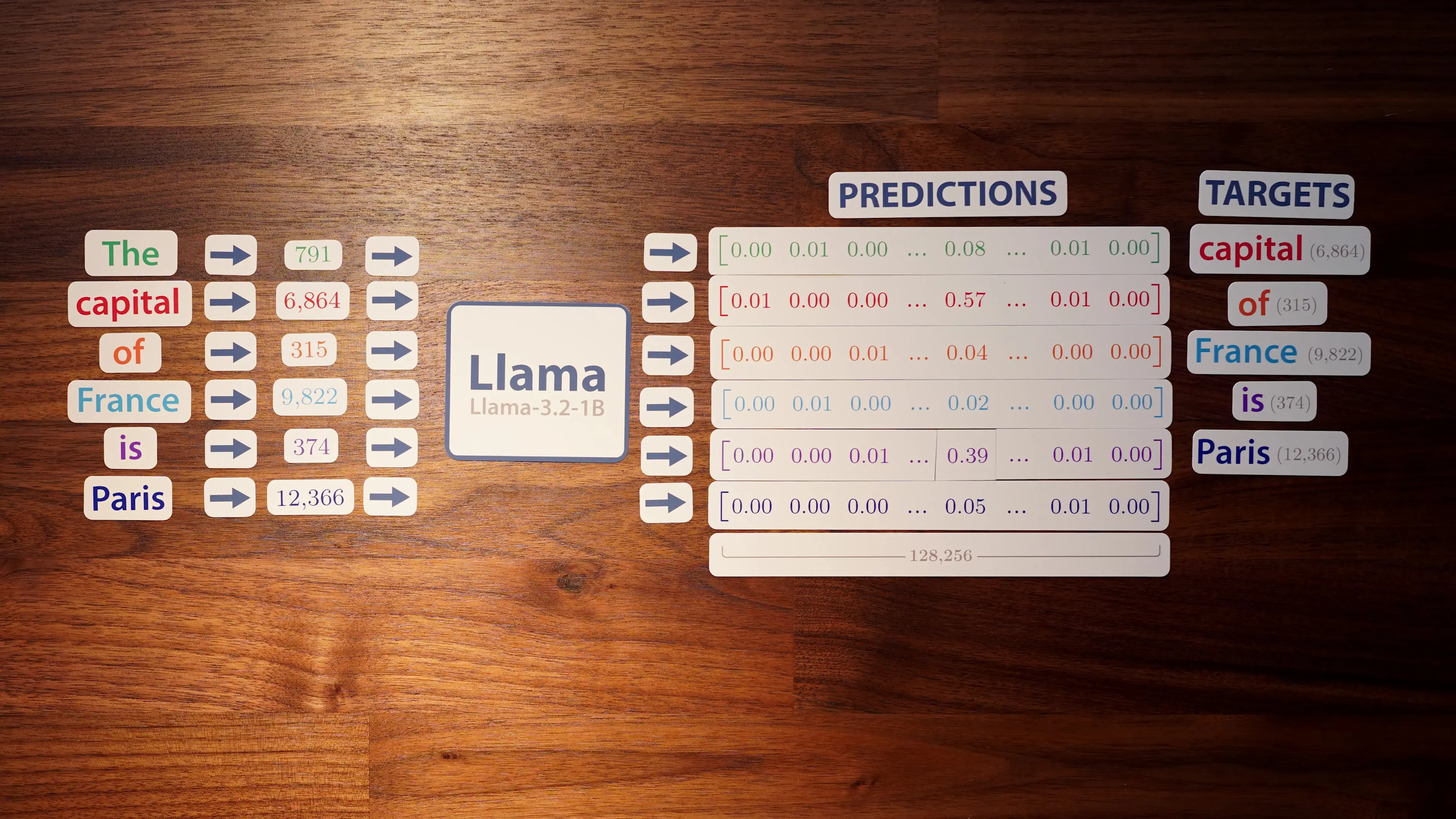 Meta's Llama 3.2 model processing the sentence "The capital of France is Paris," showing how the model assigns probability distributions across its vocabulary to predict the next token
