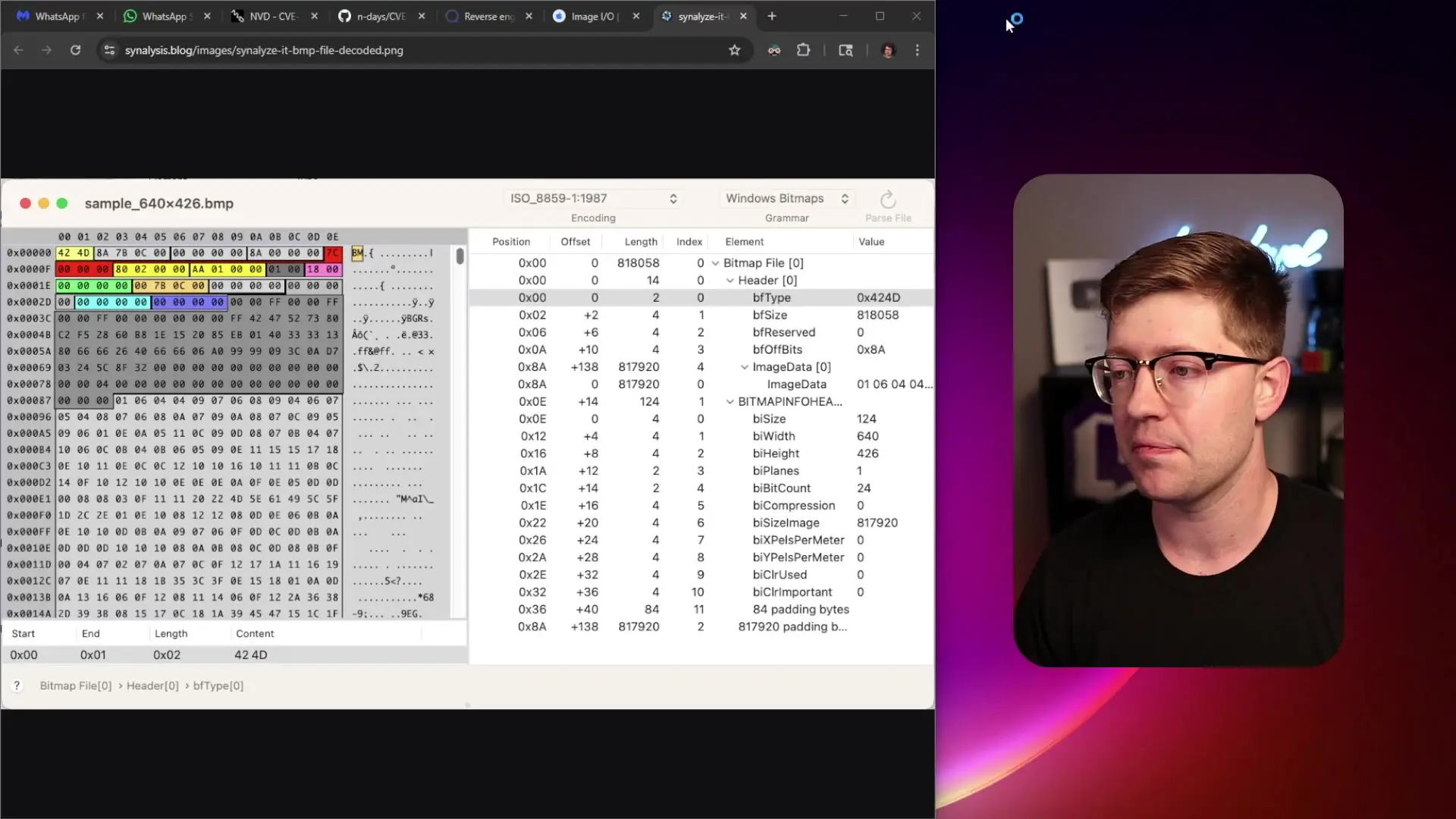 Image processing libraries like Apple's ImageIO must handle complex data structures to render graphics, creating potential security vulnerabilities
