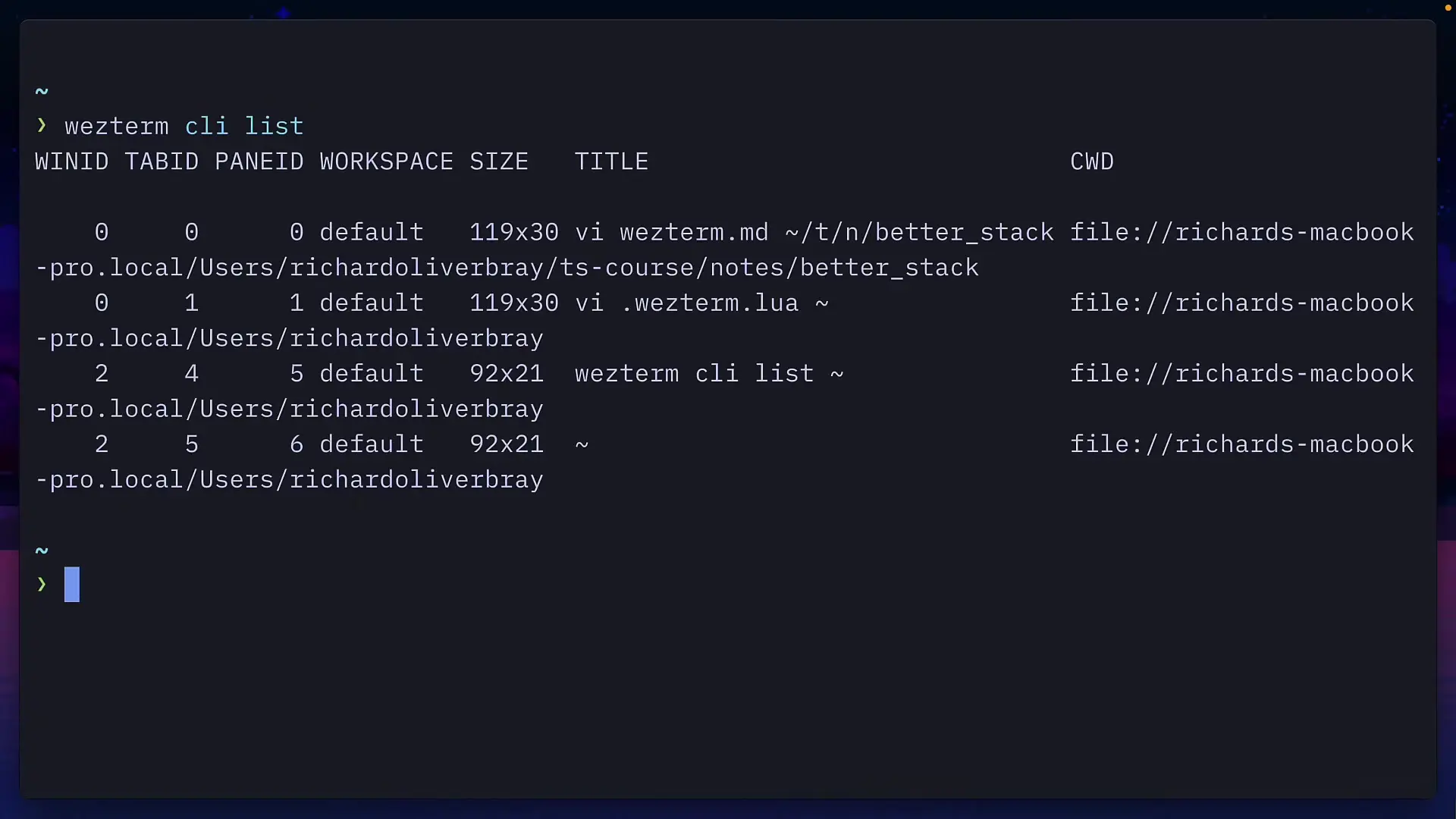 WezTerm's multiplexing server interface showing active sessions and connection options